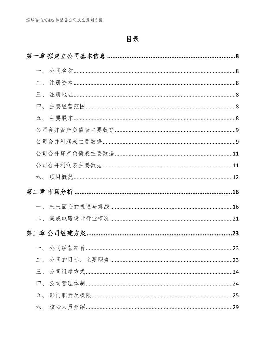 CMOS传感器公司成立策划方案_模板参考_第2页