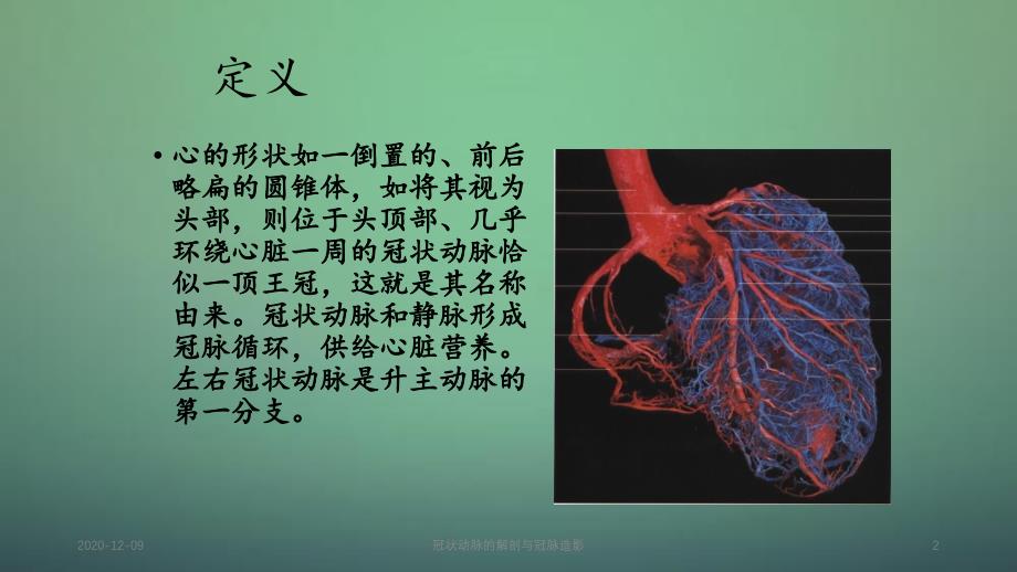 冠状动脉的解剖与冠脉造影_第2页