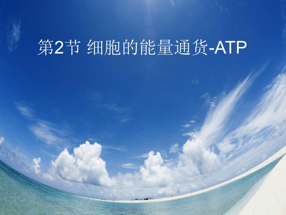 细胞的能量通货ATP_第1页