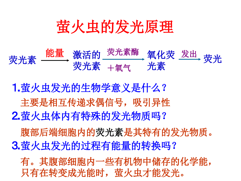 细胞的能量通货ATP_第4页