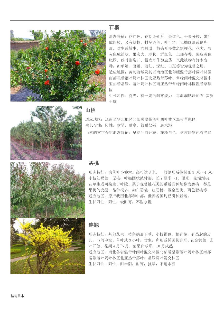 景观设计中常用植物简介_第3页