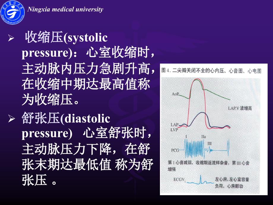 医学专题：血管检查及常见病_第3页