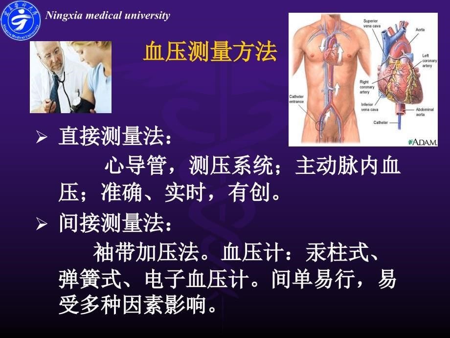 医学专题：血管检查及常见病_第5页