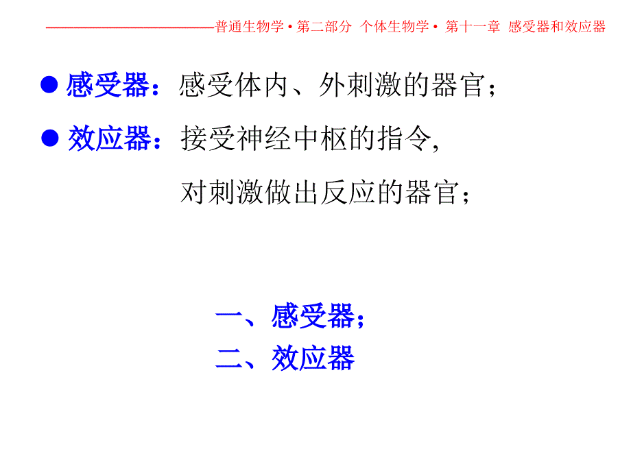 最新十一章感受器和效应器ppt课件_第2页