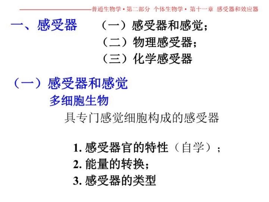 最新十一章感受器和效应器ppt课件_第3页