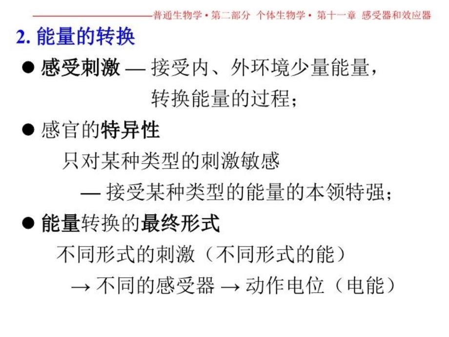 最新十一章感受器和效应器ppt课件_第4页