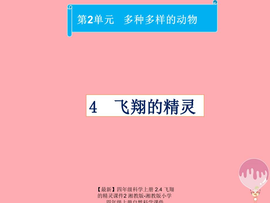 最新四年级科学上册2.4飞翔的精灵课件2湘教版湘教版小学四年级上册自然科学课件_第1页