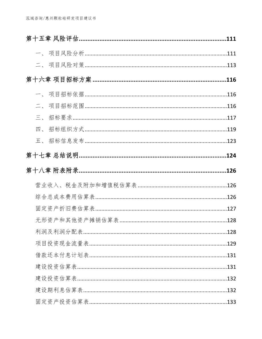 惠州颗粒硅研发项目建议书【模板范文】_第5页