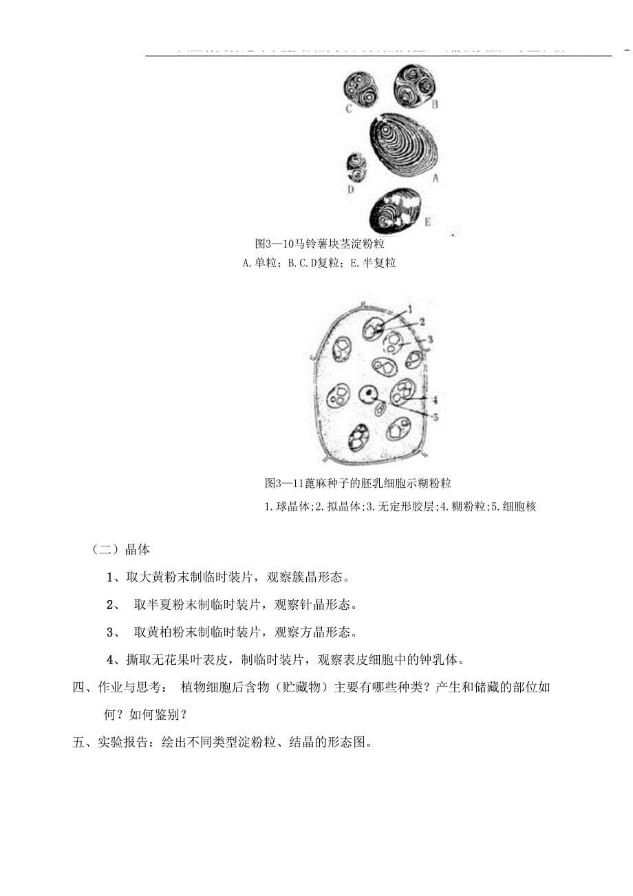 药用植物学实验指导(hua)_第5页