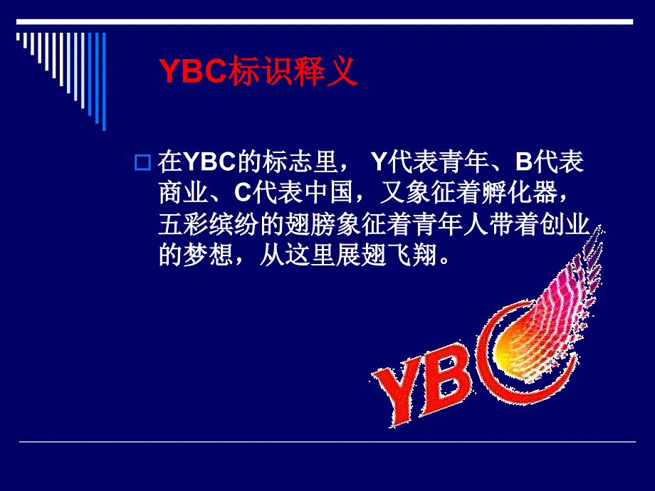 YBC项目简介 PPT_第3页