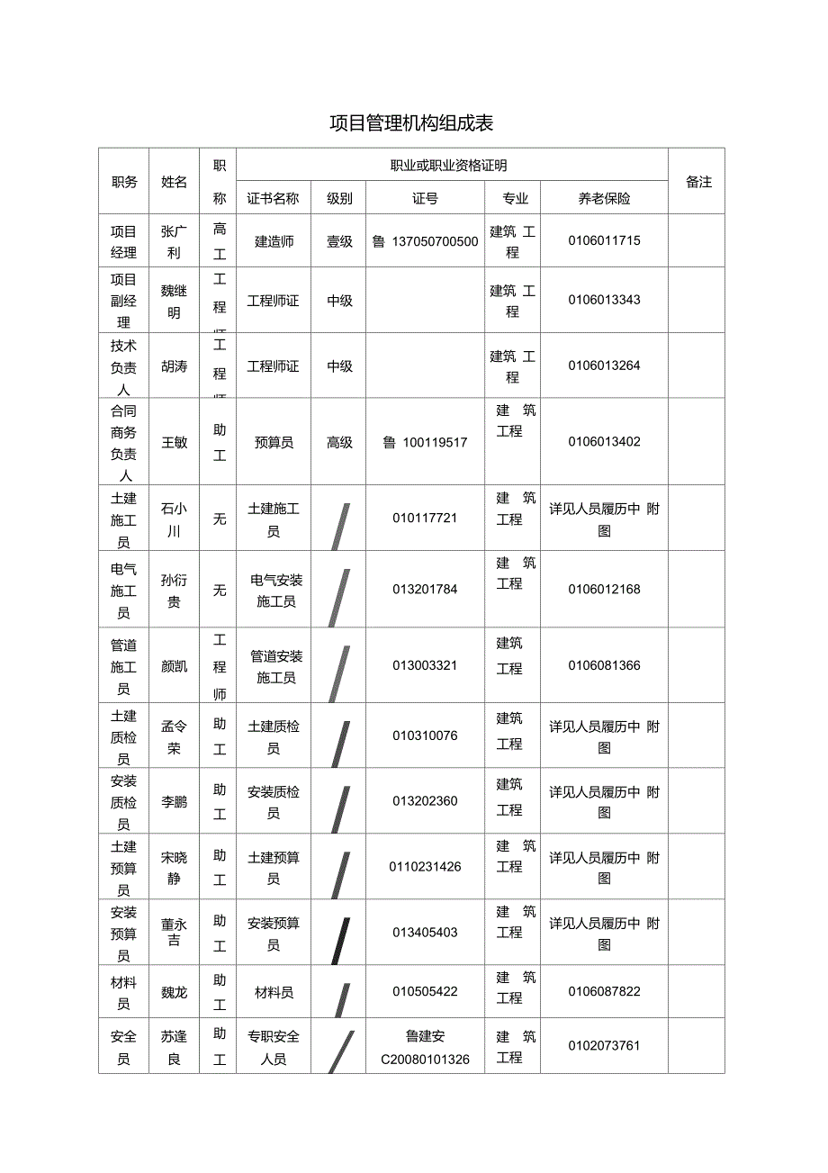 项目管理机构组成表_第1页