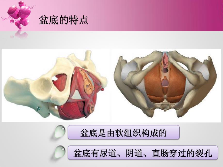 盆底康复治疗_第3页