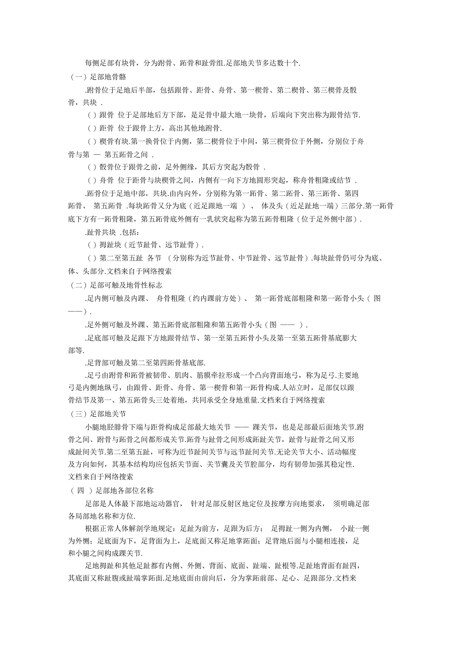 人体足部的基本结构及名称_第1页