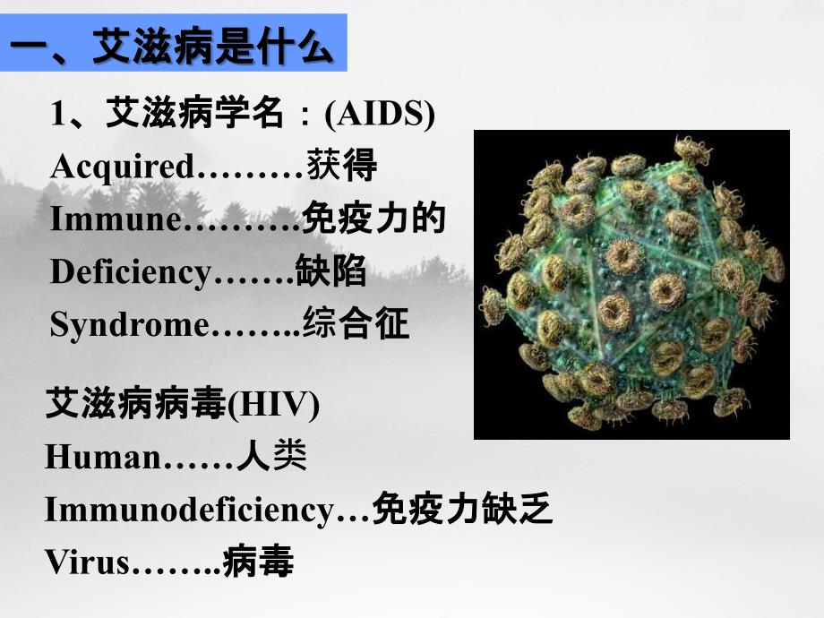 分析预防艾滋病_第3页