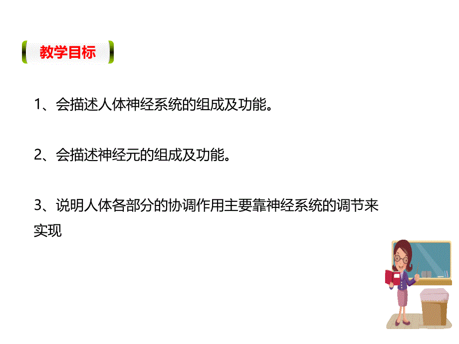 神经系统的组成公开课一等奖ppt课件_第3页