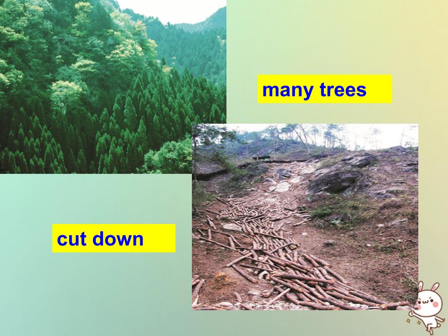 福建省莆田市涵江区九年级英语上册Unit2SavingtheearthTopic2AlltheseproblemsareveryseriousSectionA新课件_第3页