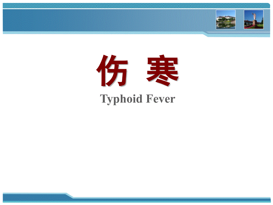 三全学院伤寒_第1页