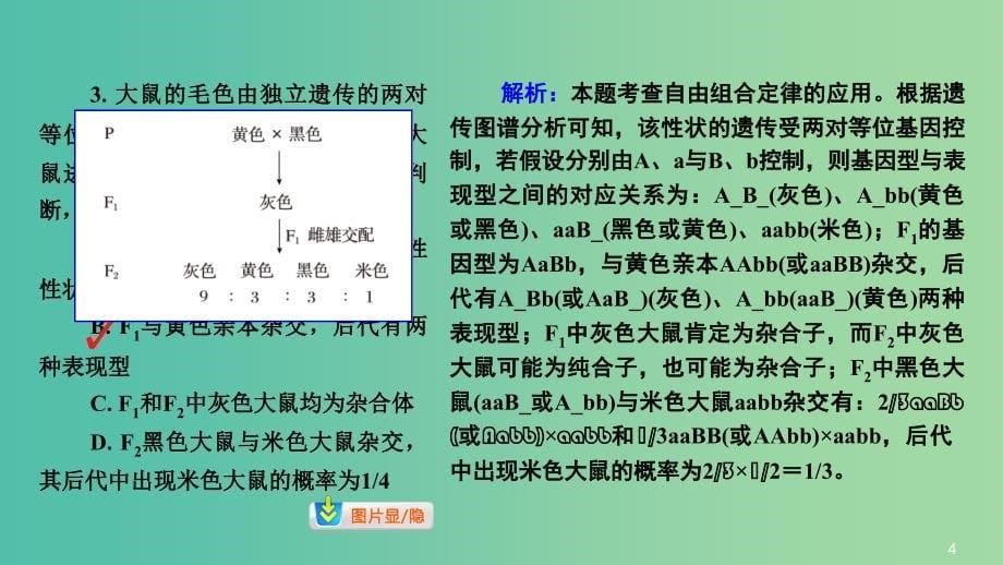 高三生物第一轮总复习 第一编 考点过关练 考点21 基因的自由组合定律课件.ppt_第5页