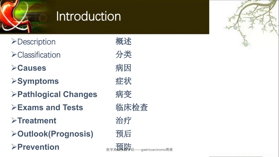 医学英语疾病介绍gastriccarcinoma胃癌_第2页