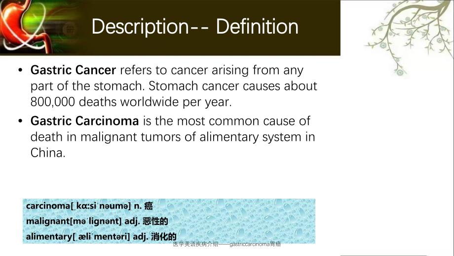 医学英语疾病介绍gastriccarcinoma胃癌_第3页