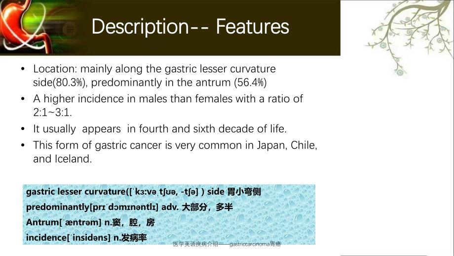 医学英语疾病介绍gastriccarcinoma胃癌_第4页