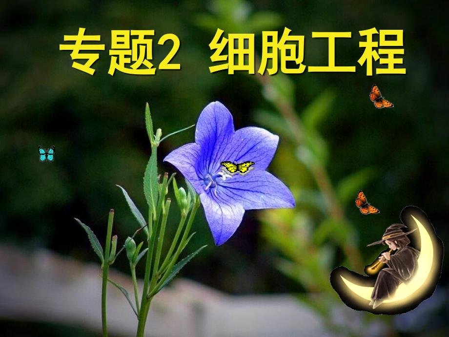 2-1-2_植物细胞工程的实际应用_第1页