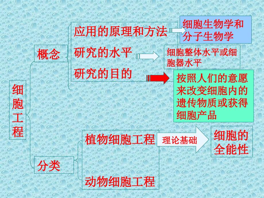 2-1-2_植物细胞工程的实际应用_第2页