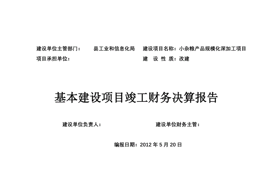 项目竣工财务决算报告.doc_第1页