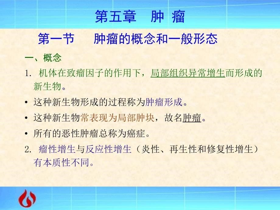 病理学：肿瘤_第5页