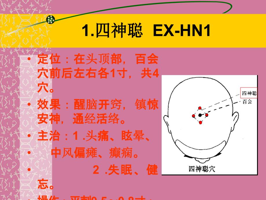 经外奇穴修正版ppt课件_第2页