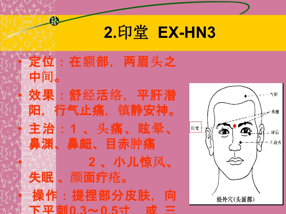 经外奇穴修正版ppt课件_第3页