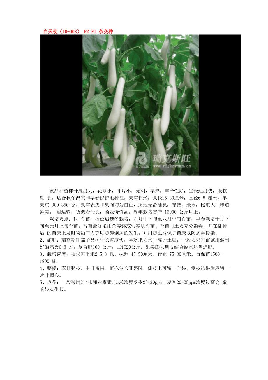 瑞克斯旺茄子_第3页