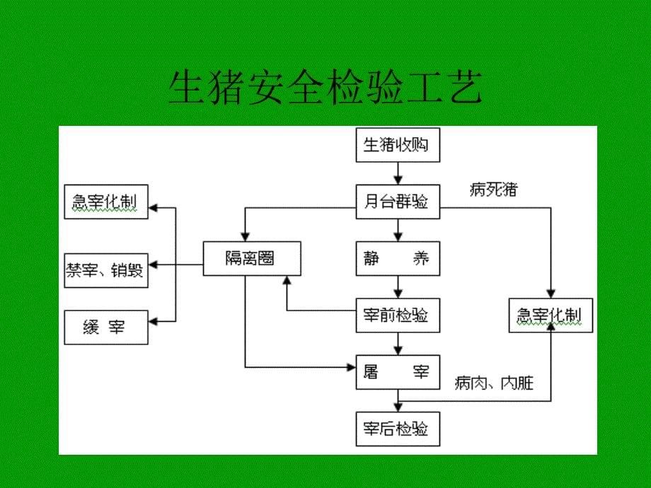 屠宰工艺培训教材_第5页