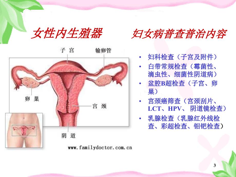 常见女性疾病预防ppt课件_第3页