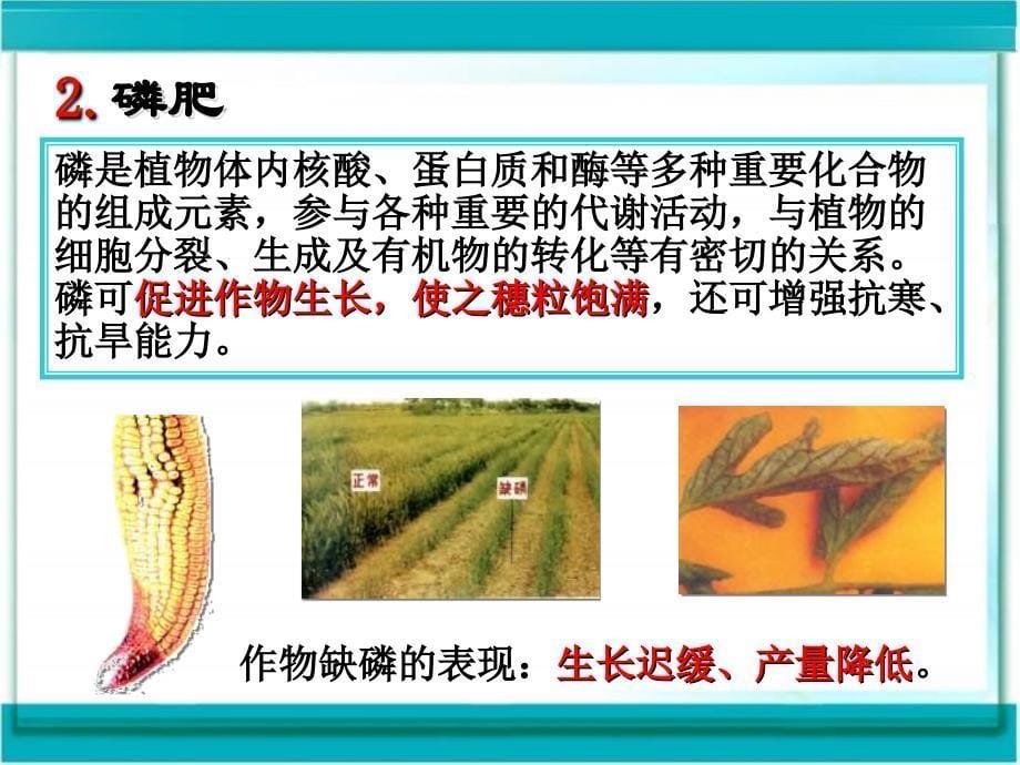 化学肥料 (2)_第5页