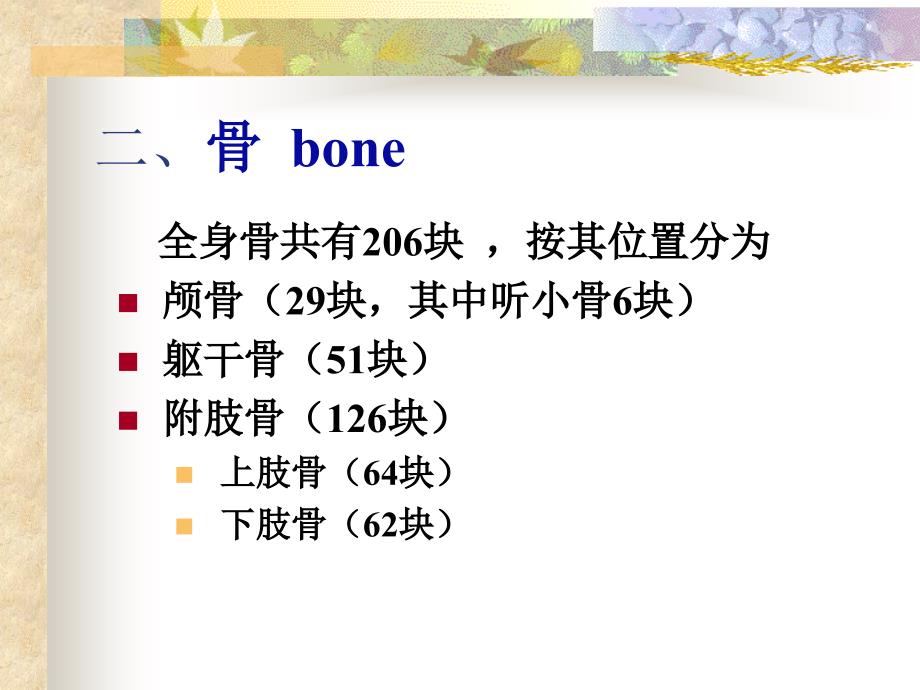 骨学及其结ppt课件_第3页