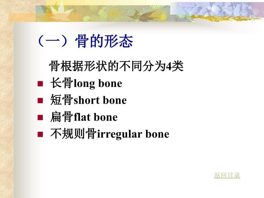 骨学及其结ppt课件_第5页