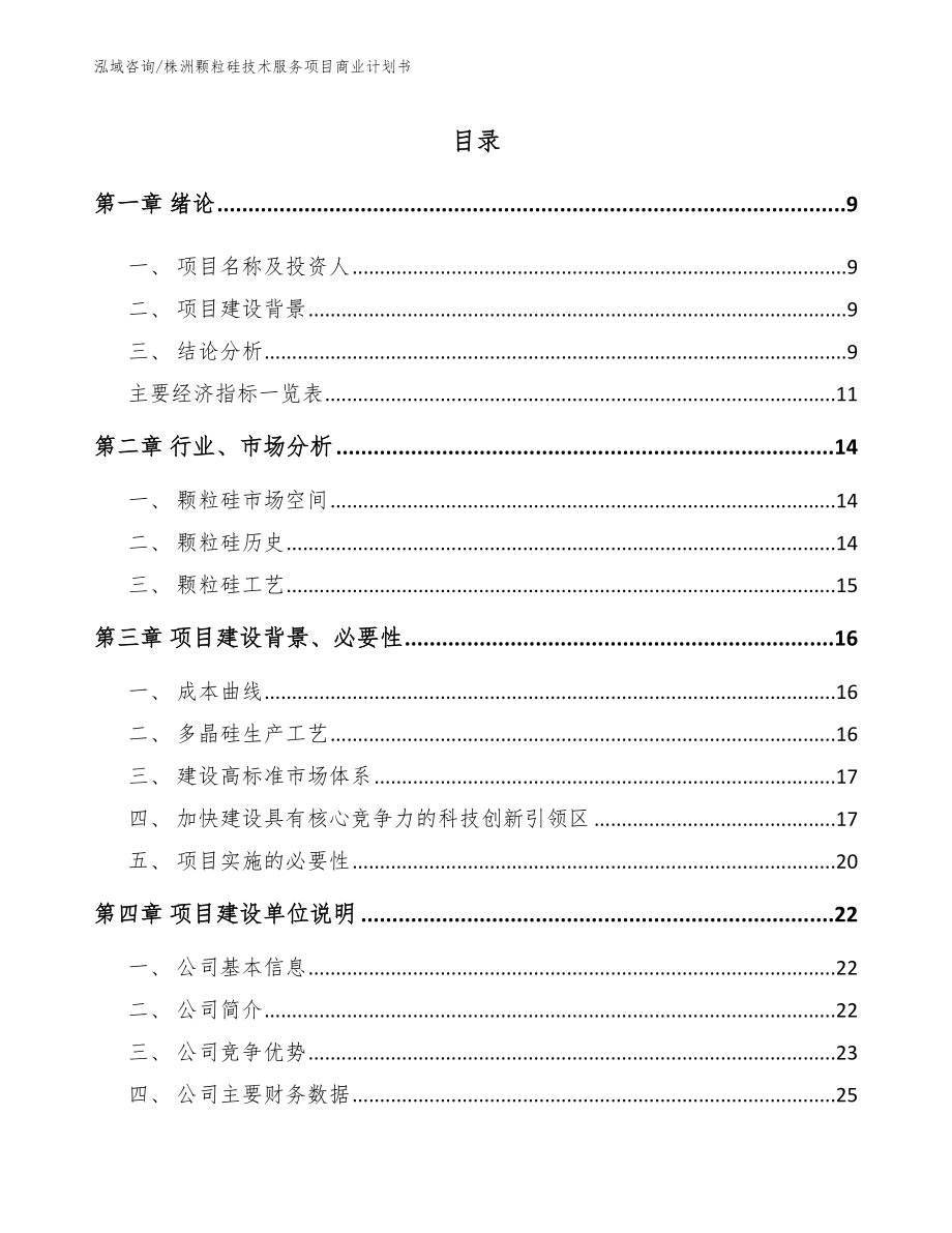 株洲颗粒硅技术服务项目商业计划书_第2页