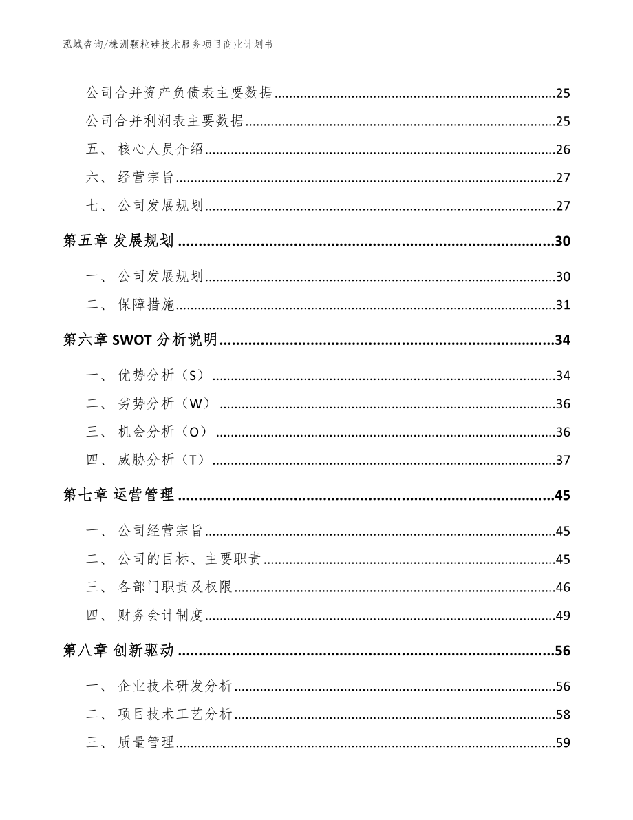 株洲颗粒硅技术服务项目商业计划书_第3页