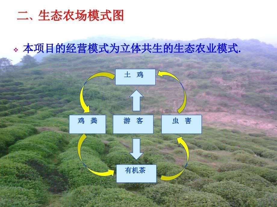 绿之源生态农场策划设计 PPT_第5页