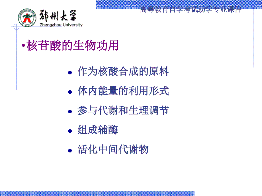 生物化学：第八章 核苷酸代谢_第3页