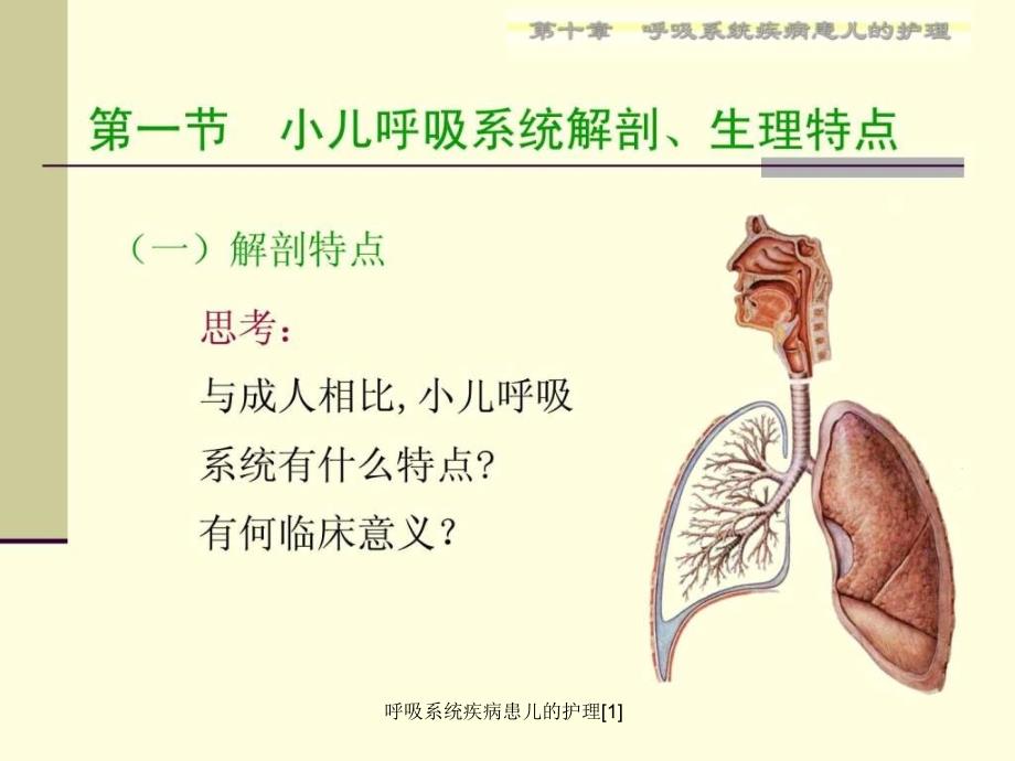 呼吸系统疾病患儿的护理1课件_第3页