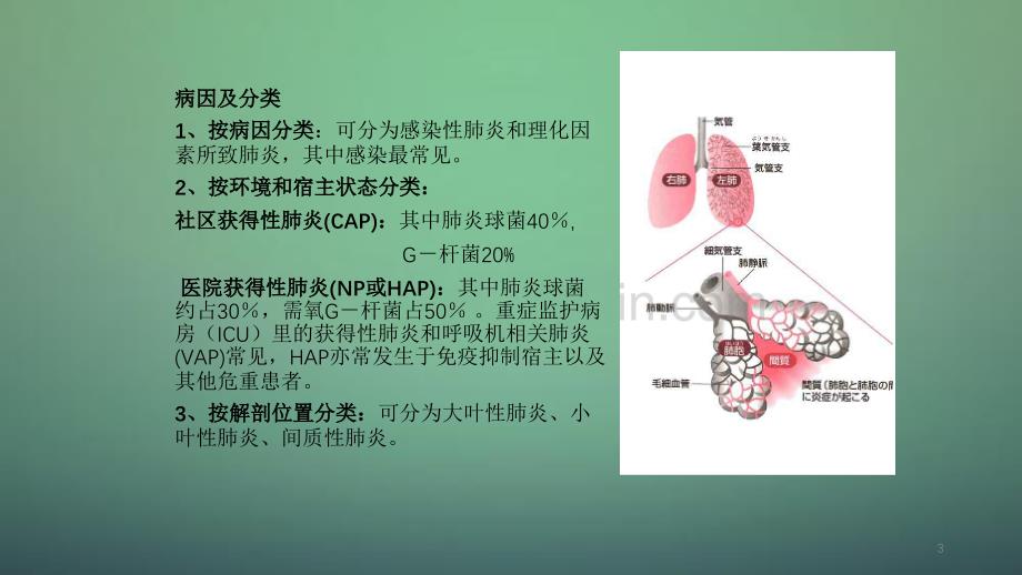 重症肺炎的护理干货分享_第3页