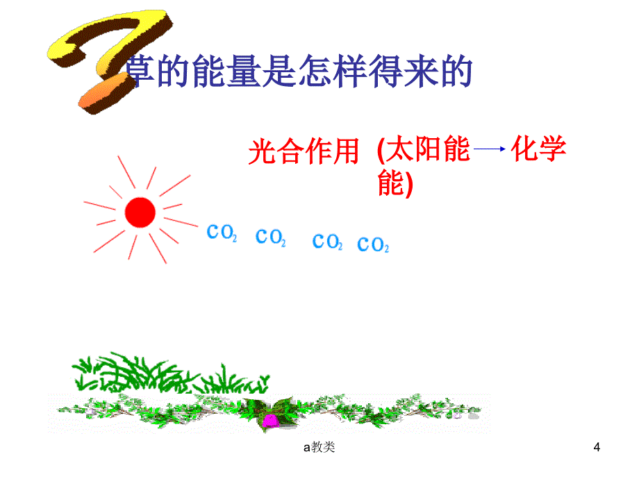 能量流动【A类基础】_第4页