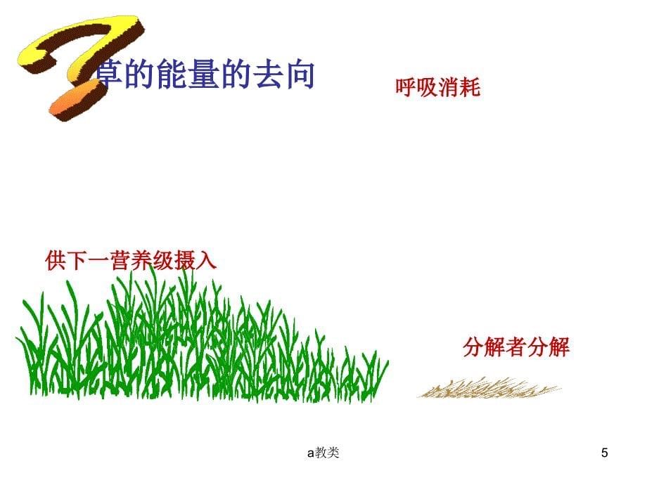 能量流动【A类基础】_第5页