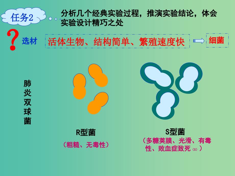 高中生物第三章细胞的基本结构3.1DNA是主要的遗传物质课件新人教版.ppt_第4页