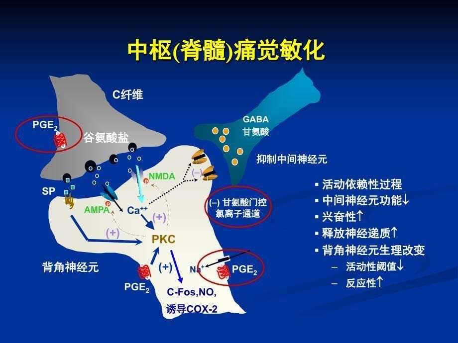 COX2抑制剂在术后镇痛的临床应用_第5页