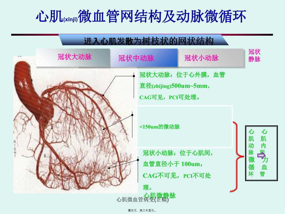 心肌微血管病变正稿课件_第3页