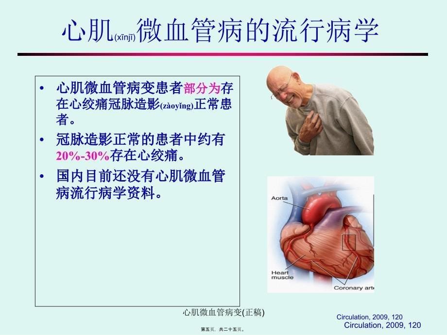 心肌微血管病变正稿课件_第5页