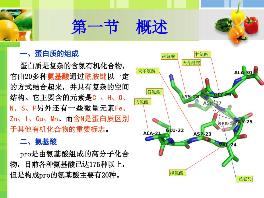 蛋白质和氨基酸的测定_第4页